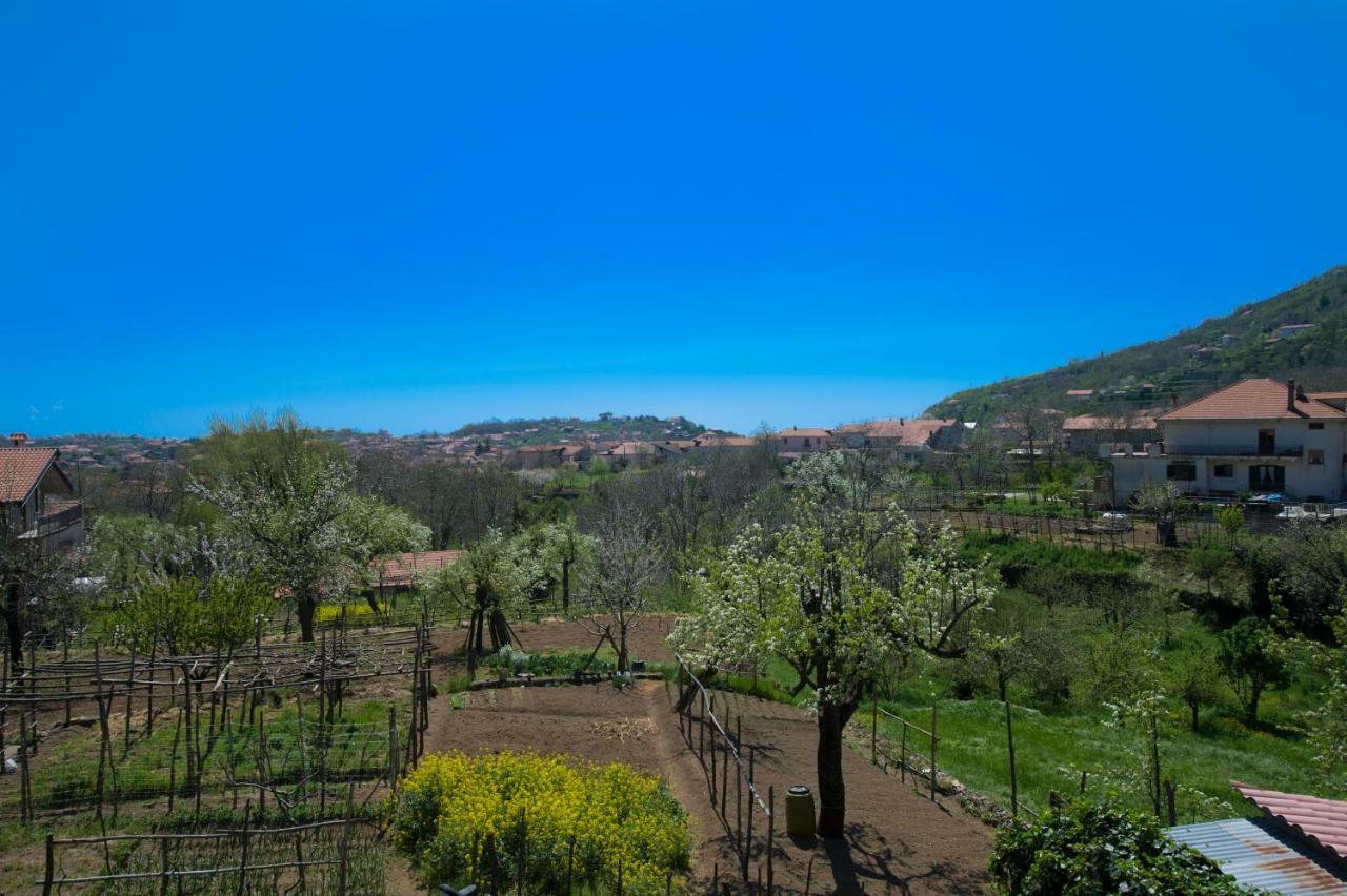Al Cortile Di Nonno Luigi Villa Agerola Bagian luar foto